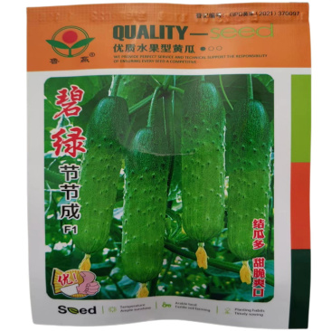 碧绿节节成水果黄瓜种子春秋四季旱黄瓜种子高产小黄瓜种子