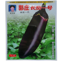 郭庄长茄一号种子紫把长茄种子不易老中熟高产黑紫茄子杂交