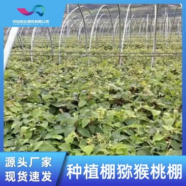 农业种植连栋大棚内外遮阳花卉猕猴桃种植玻璃钢架安装温室大