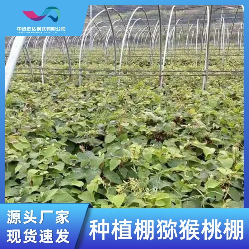 农业种植连栋大棚内外遮阳花卉猕猴桃种植玻璃钢架安装温室大