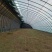 蘑菇棚农业玻璃温室大棚阳光温室花卉养殖展厅大棚温室种植大