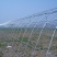 蘑菇棚农业玻璃温室大棚阳光温室花卉养殖展厅大棚温室种植大