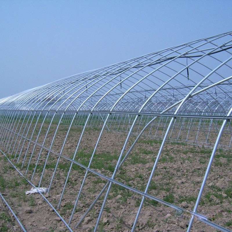 蘑菇棚农业玻璃温室大棚阳光温室花卉养殖展厅大棚温室种植大