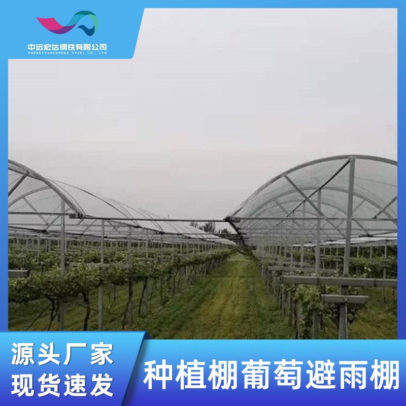 厂家供应养殖蔬菜葡萄大棚简易葡萄大棚新型连栋葡萄大棚批