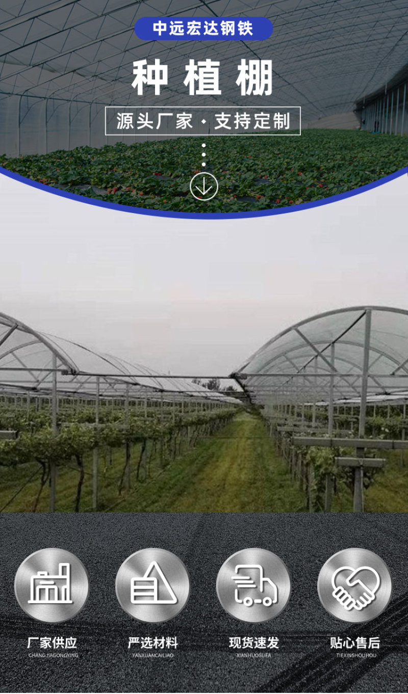 厂家供应养殖蔬菜葡萄大棚简易葡萄大棚新型连栋葡萄大棚批