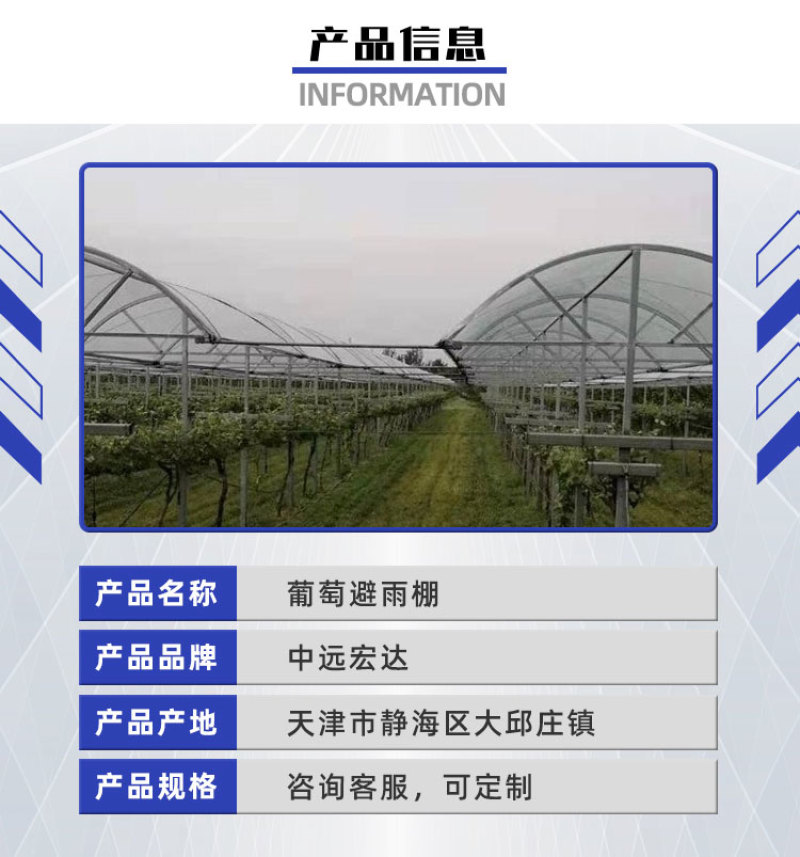 厂家供应养殖蔬菜葡萄大棚简易葡萄大棚新型连栋葡萄大棚批