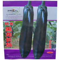 黑龙长茄种子早熟耐热茄子种子长茄高产外皮墨色肉质细嫩