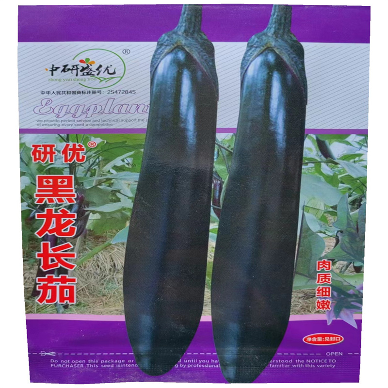 黑龙长茄种子早熟耐热茄子种子长茄高产外皮墨色肉质细嫩