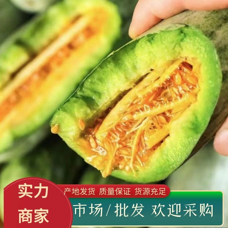 博洋61甜瓜羊角蜜大量上市批发量大价优欢迎咨询下单