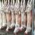 鲁北畜产品肉羊养殖基地一手货源保质保量常年批发羊白条