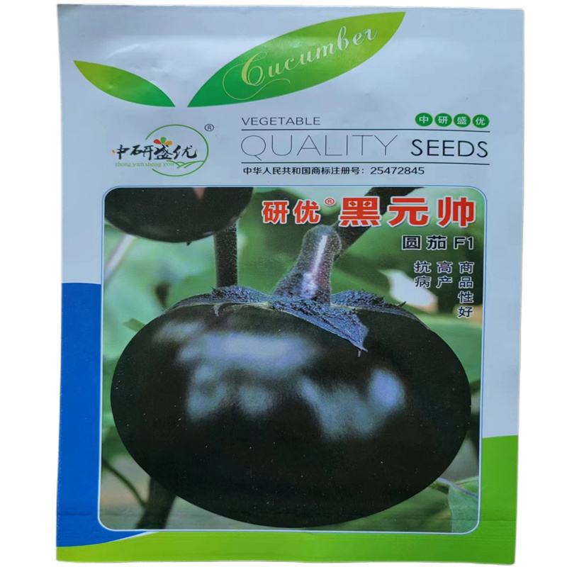 黑元帅圆茄种子抗病茄子种子特大圆外皮深黑淡紫色中晚熟