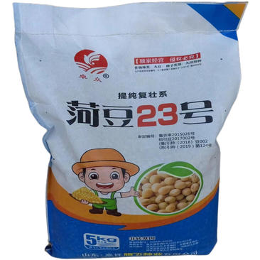菏豆23号黄豆种子高产大豆种子鲁审非转基因10斤