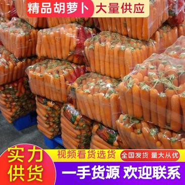 胡萝卜大量供应，质量保证，价格美丽量大优惠视频看货