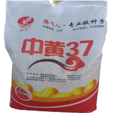中黄37黄豆种子抗倒伏高产高蛋白大豆种子春夏旱黄豆种子