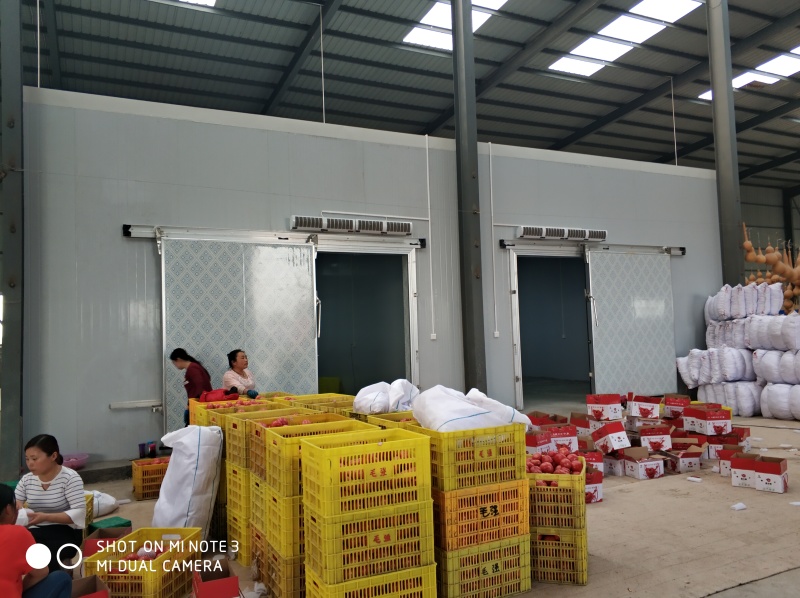 建冷库多少钱,建冷库多少钱一平方,冷库多少钱一个平方,建
