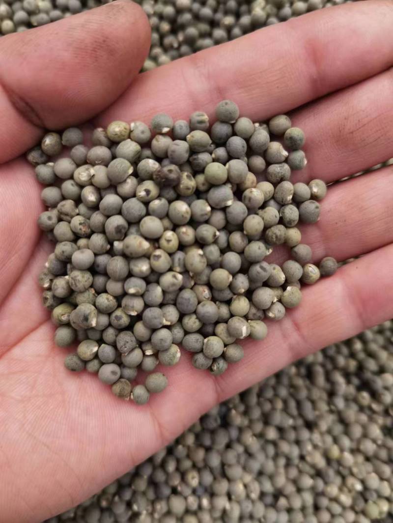 莲子壳莲子铁莲子石莲子欢迎视频看货，电话联系
