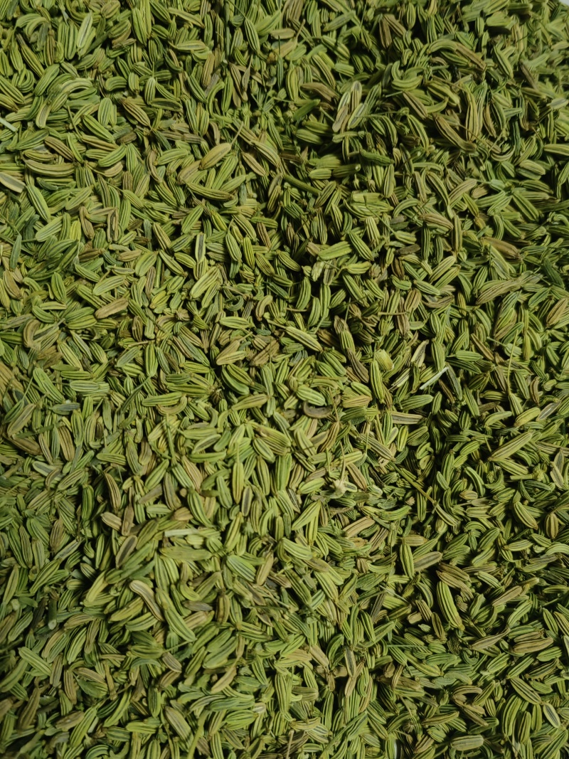 【小茴香】甘肃基地发货调味品小茴香品质好价格优