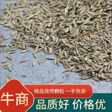 孜然粒调味品一手货源基地发货对接电商商超平台