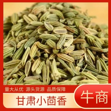【小茴香】甘肃基地发货调味品小茴香品质好价格优