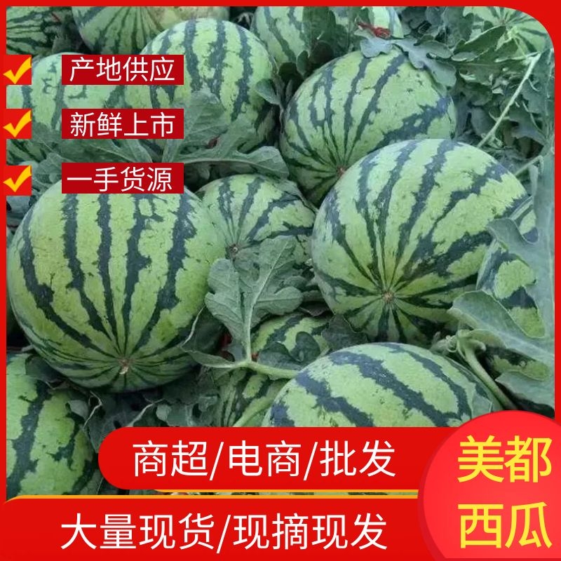 [美都西瓜批发]河南商丘永城市西瓜 1.50元/斤【明码标价】河 _ 一亩田