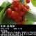 樱桃树苗黑珍珠樱桃树根系发达包品种包邮欢迎来电咨询