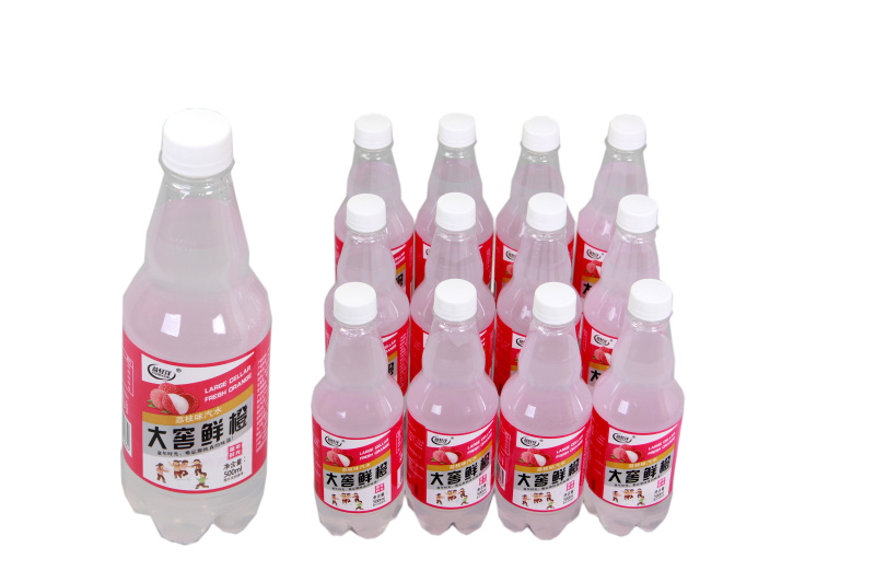 大窖鲜橙汽水饮料老北京汽水大窖荔枝