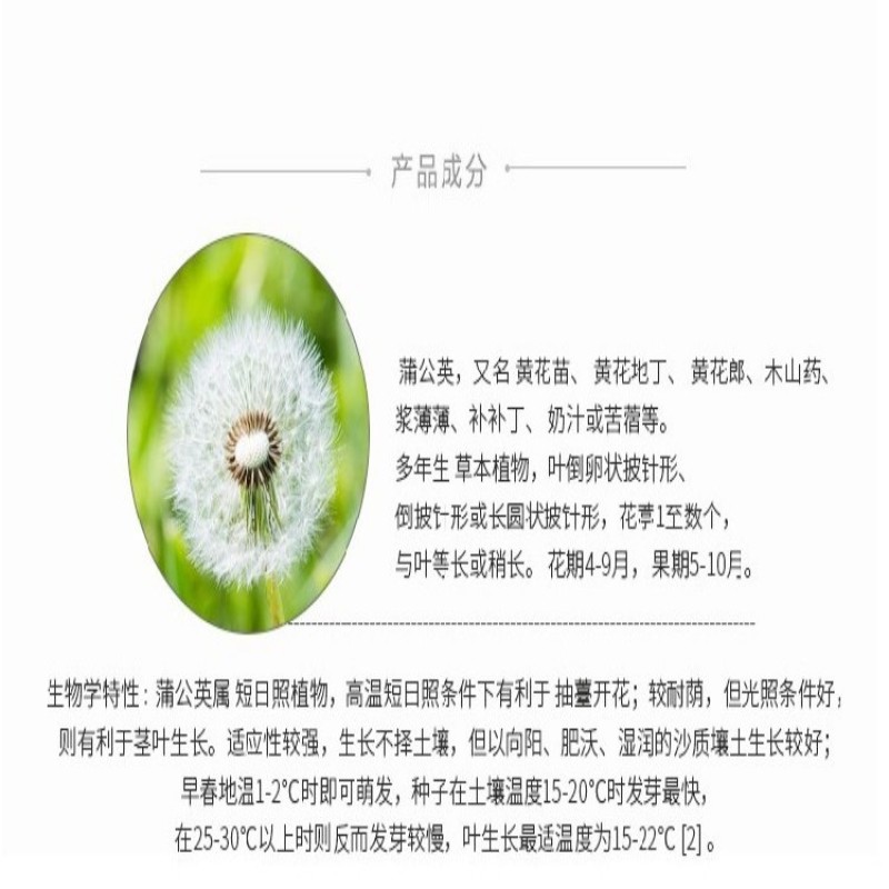 蒲公英种子种籽四季婆婆丁春秋冬季野菜荠菜种孑药盆栽蔬菜