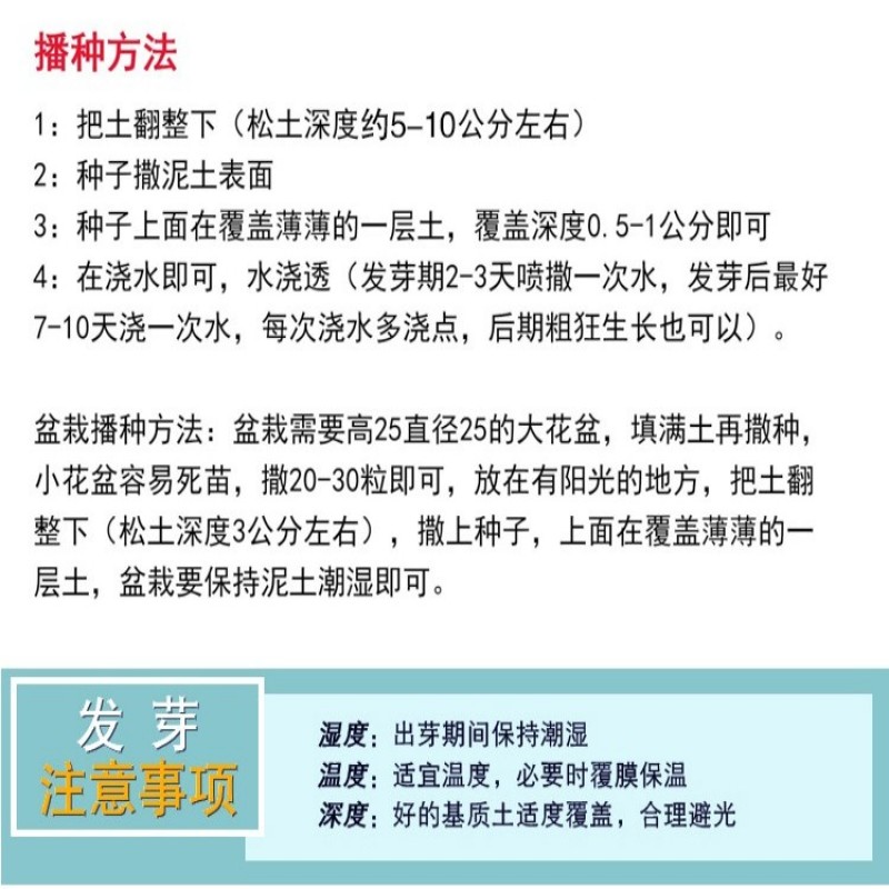凤仙花种子混色指甲花景观绿化盆栽庭院花种籽子四季播种耐旱
