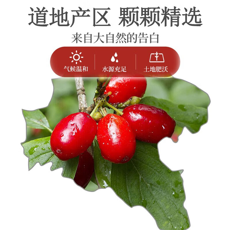 正宗陕西山茱萸去核正品山萸肉山芋肉泡水山茱萸中药纯肉山茱
