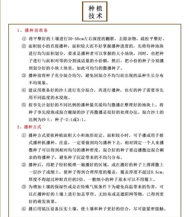 紫花地丁种子地被花卉花籽庭院花种绿化耐荫四季室外耐寒易活
