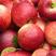 千年红油桃原产地发货质量保证货源充足欢迎来电咨询选购