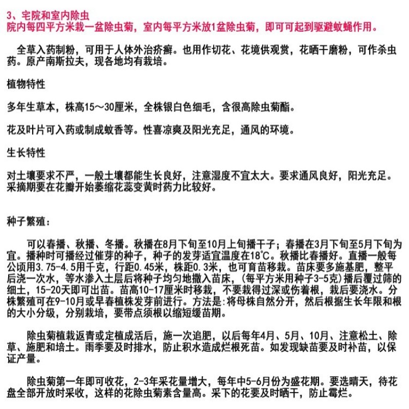 除虫菊种子驱蚊草驱虫菊花种籽子多年生混色四季易活阳台盆栽
