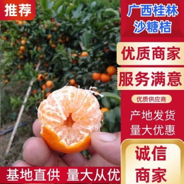 柑橘广西桂林精品沙糖桔皮溥汁多口感好皮张靓