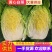 大白菜湖北黄心白菜产地直发保质保量价格优惠