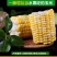 云南金银水果玉米整箱10斤现摘生吃爆浆牛奶时令当季新鲜蔬