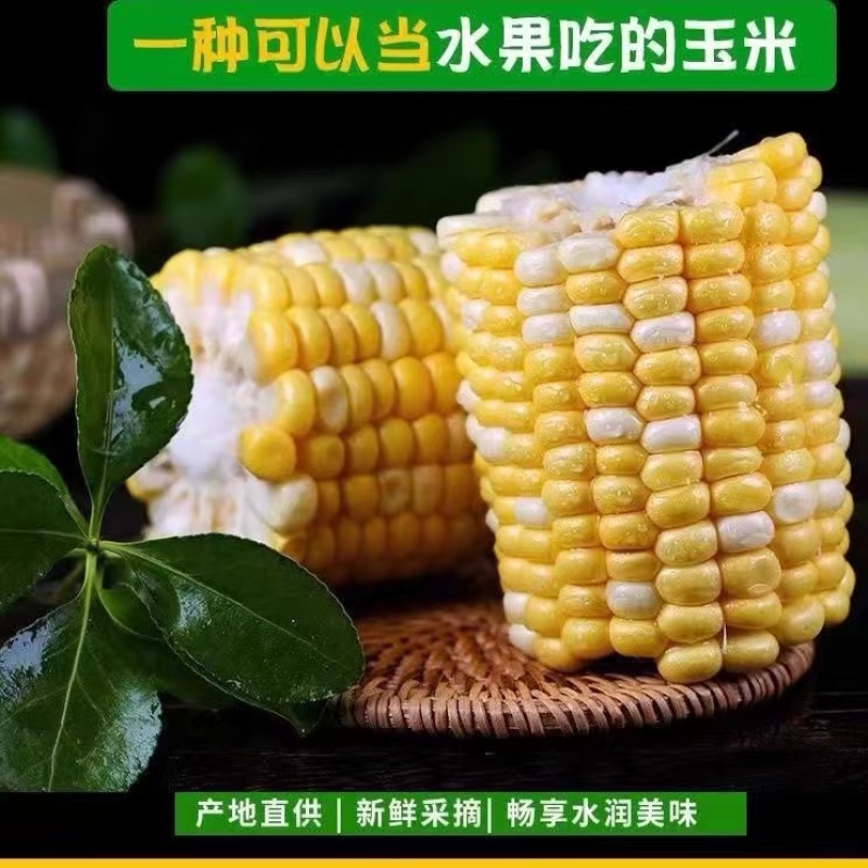 云南金银水果玉米整箱10斤现摘生吃爆浆牛奶时令当季新鲜蔬