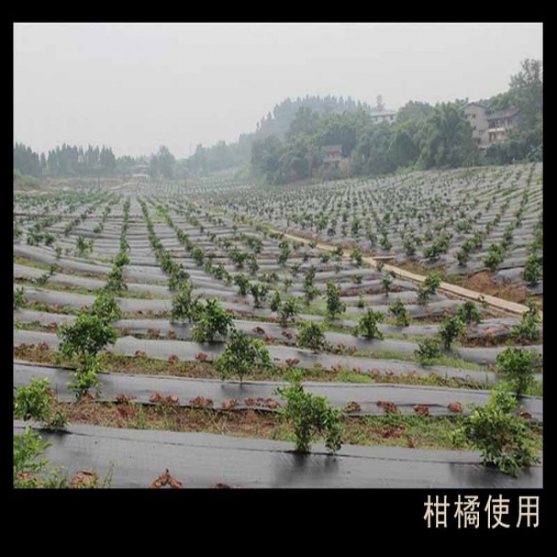 园艺防草地布防草布，PE防草布和PP防草布