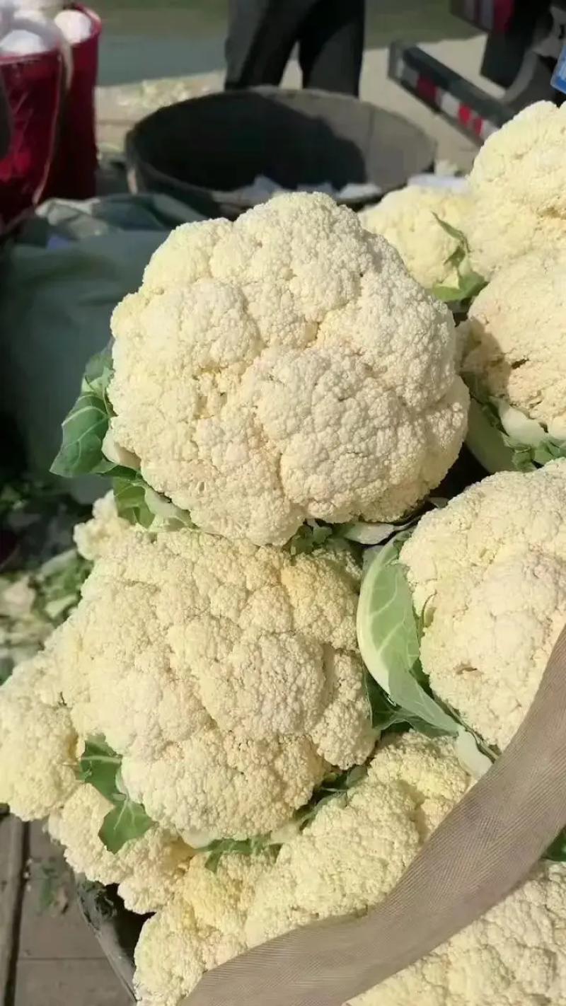 河南开封精品有机花菜对接全国电商批发商超市视频看货等您来电