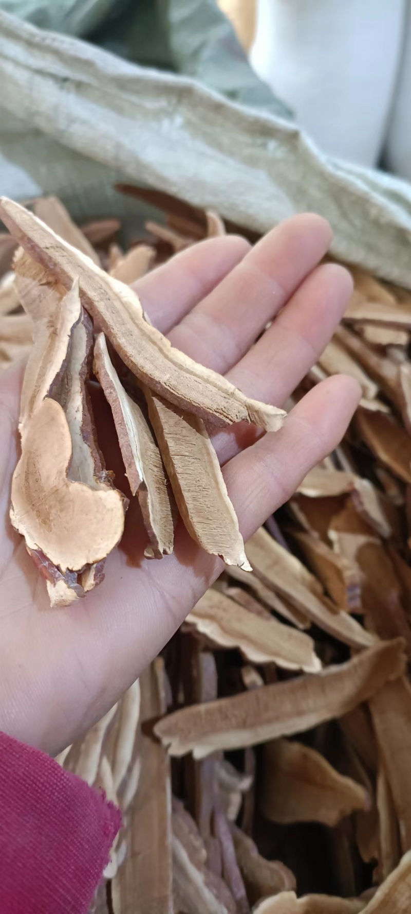 灵芝，切片灵芝，规格多样，大小可选，产地直销，大量供应