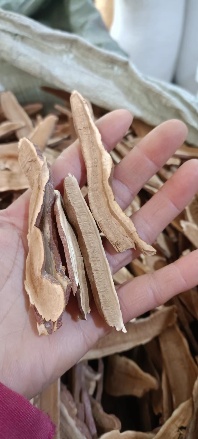 灵芝，切片灵芝，规格多样，大小可选，产地直销，大量供应