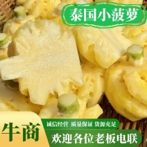 泰国小菠萝工厂直供长期供应，量大从优电联