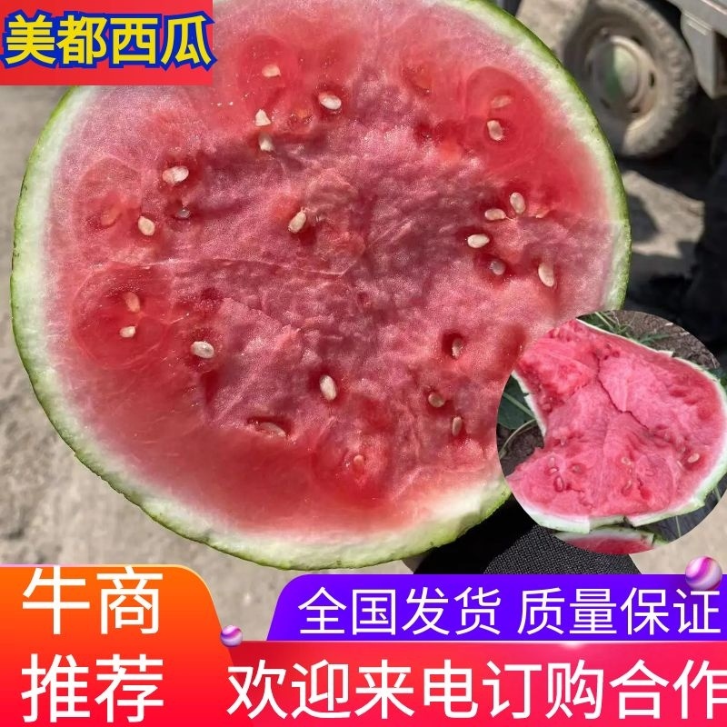 美都麒麟西瓜产地直发口感好耐运输质量保证欢迎来电咨询