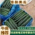 密刺黄瓜黑油亮油大量上市精品供应市场，超市，电商加工厂