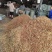 甜叶菊百花茶三合一罗汉果花甜叶菊茶梗