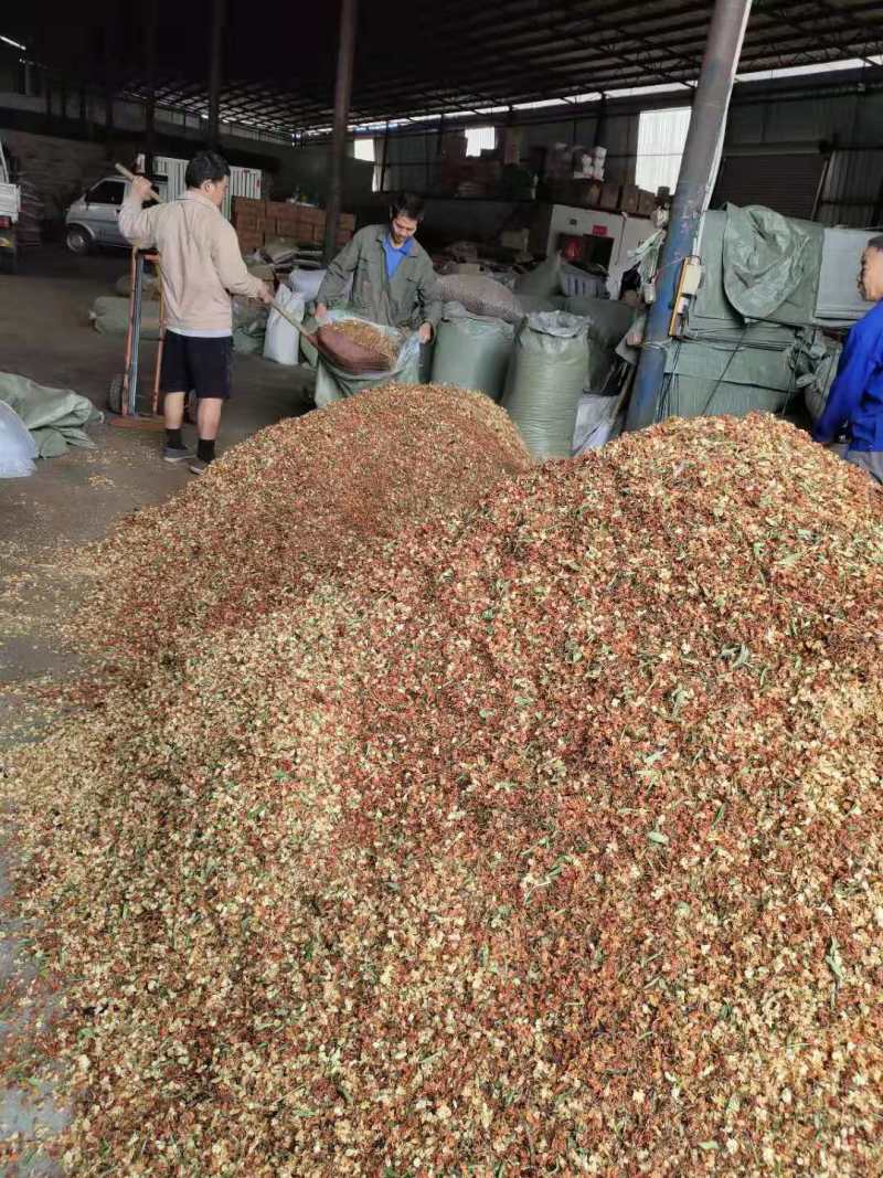 甜叶菊百花茶三合一罗汉果花甜叶菊茶梗