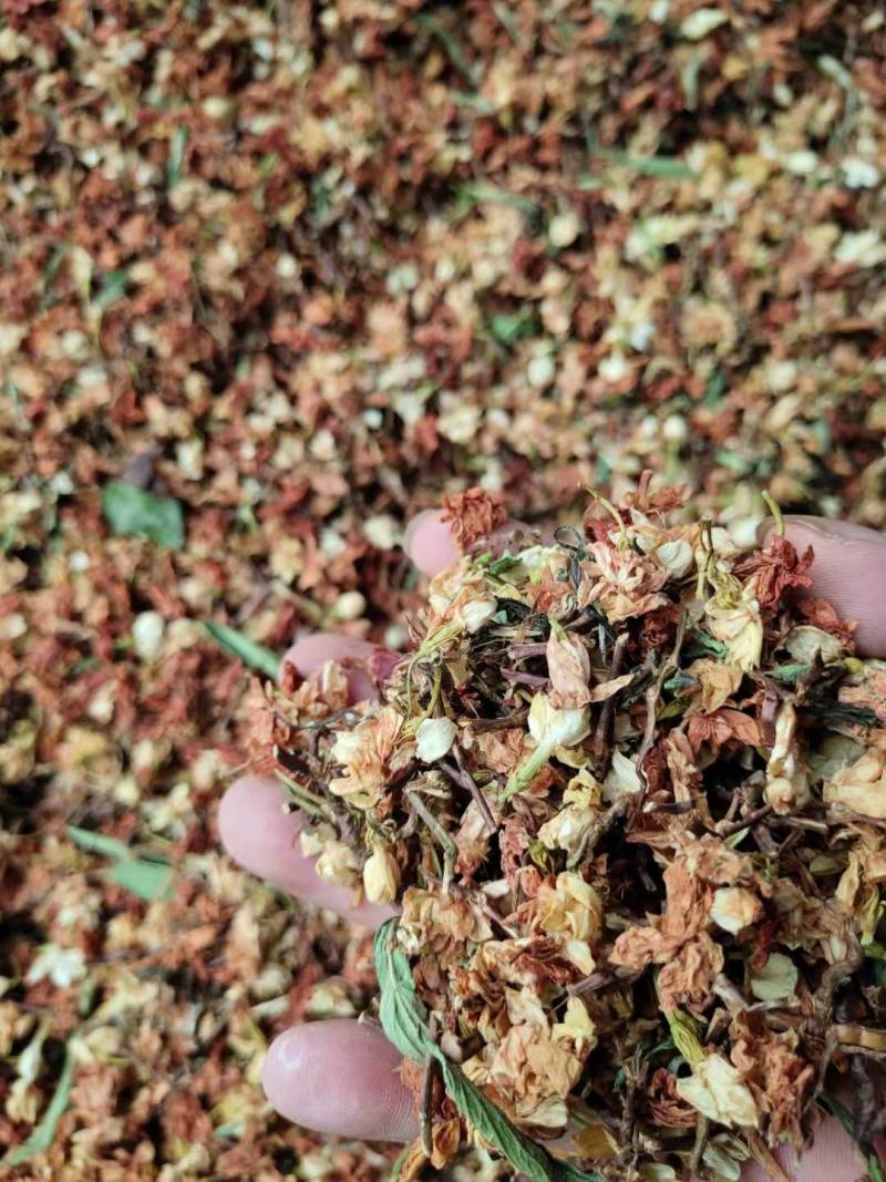甜叶菊百花茶三合一罗汉果花甜叶菊茶梗