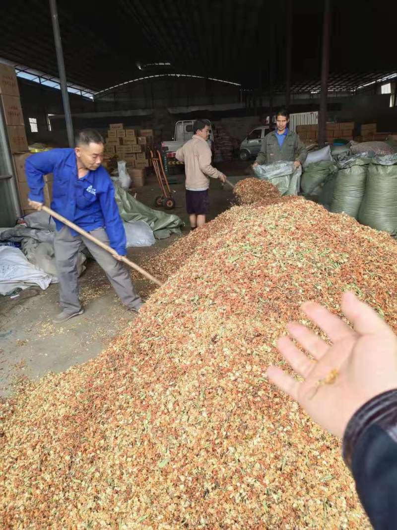 甜叶菊百花茶三合一罗汉果花甜叶菊茶梗