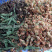 甜叶菊百花茶三合一罗汉果花甜叶菊茶梗