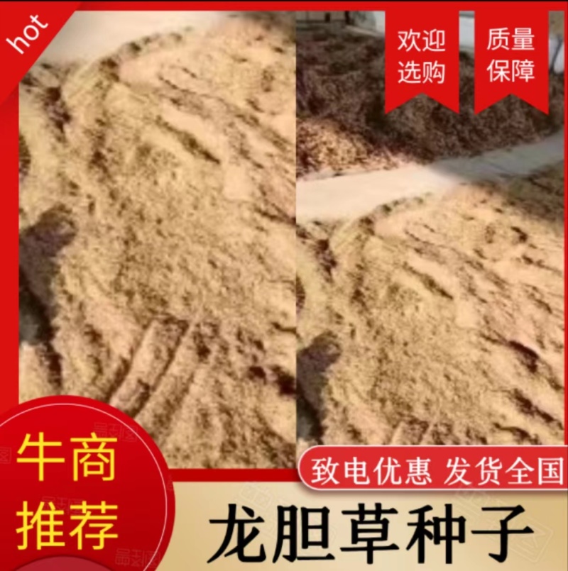 龙胆草