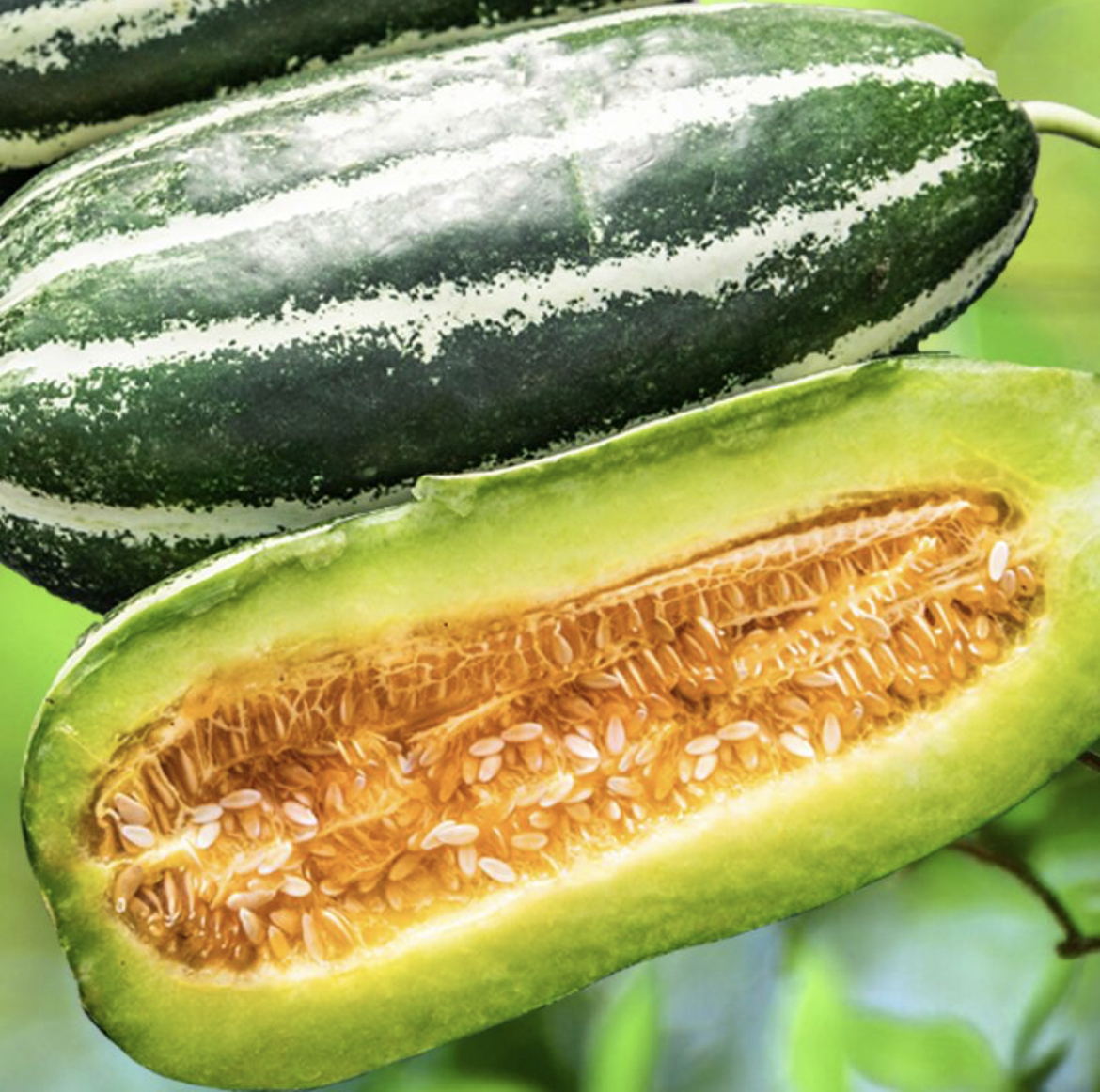 日本玫珑甜瓜摆放在高档水果专柜中,旁边配有品牌标识和价格标签 日本玫珑甜瓜在高端超市货架上展示